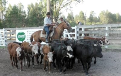 Con Montero & Fernández, pese al contexto crítico por el clima, la pista del Campanero mostró mucha agilidad.