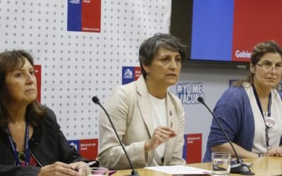 Chile. Ministerio de Salud confirmó el primer caso humano de gripe aviar.