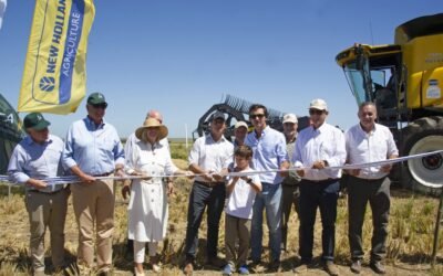 “La libre importación de combustibles es la única solución”.