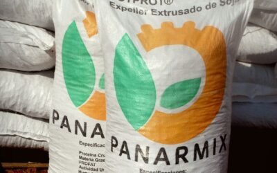 Alimentación de la vaca en período de transición. ¿Qué aporta el expeller de soja?