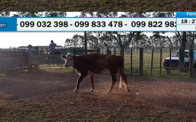 Valdez remató en Molles.