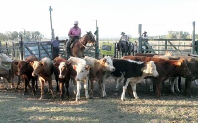 Trabajosa la pista de Los Amigos.
