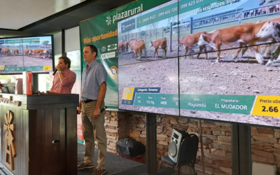 Plaza Rural vendió el 97% de la oferta, hoy continúa vendiendo desde las 09.00 horas.