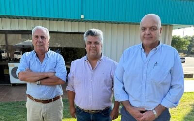 Cumbre de pantallas.