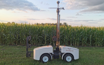 Robot mide los ángulos de las hojas para ayudar al mejor desarrollo de plantas de maíz.