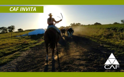 Mañana CAF distinguirá labor destacada de mujeres en el cooperativismo.