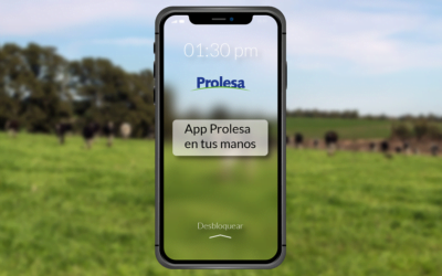 Prolesa lanzó aplicación para facilitar el acceso a todos sus servicios y productos.