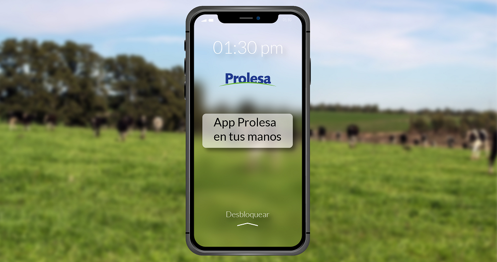 Prolesa lanzó aplicación para facilitar el acceso a todos sus servicios y productos.