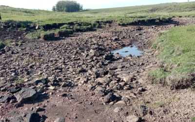 ¡Cuidado, la sequía aún no terminó!