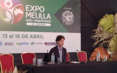 Ec. Lousteau: “Argentina está atrapada en ciclos de no crecimientos”.