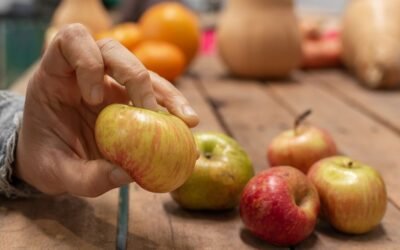 Consecuencias de la sequía y consumo de vegetales en Uruguay.