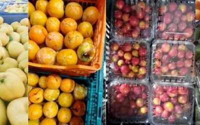 Mercado granjero: Inicia la oferta de frutas de otoño.