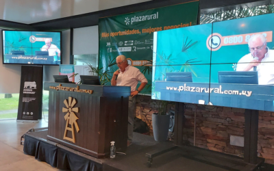 Plaza Rural colocó 14.500 vacunos, las ventas terminan hoy.