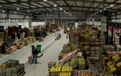 Actualización del mercado de frutas y verduras.