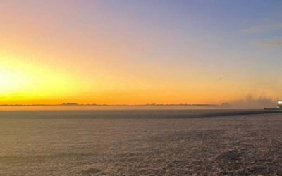 Esperando la lluvia y analizando los cultivos.