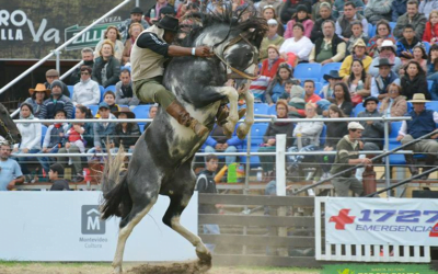 Así, todos pierden.