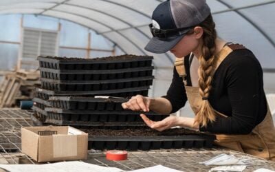 FAO: Casi la mitad de la población mundial vive en hogares vinculados a sistemas agroalimentarios.