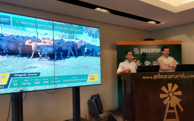 Hoy a las 09.00 comienza el remate de Plaza Rural.