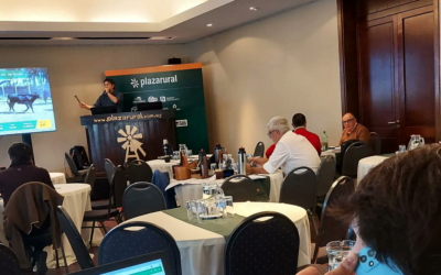 Hoy comienza el remate de Plaza Rural con transmisión de Todo El Campo.