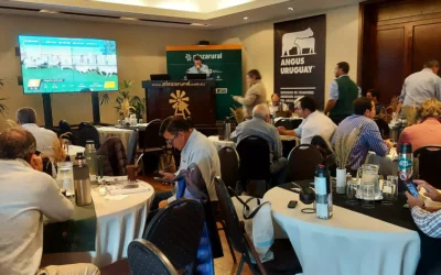 El miércoles y jueves próximos será el remate 318 de Plaza Rural.