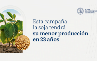 Argentina espera la peor producción de soja en los últimos 23 años.