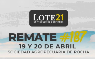 Mañana Lote 21 iniciará el remate 187.