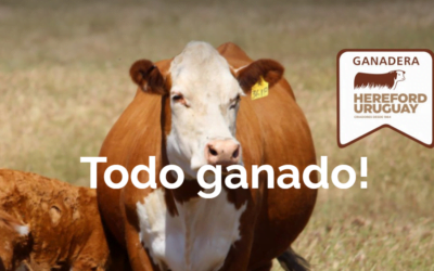 Hoy Pantalla Uruguay rematará desde las 11.00 horas.