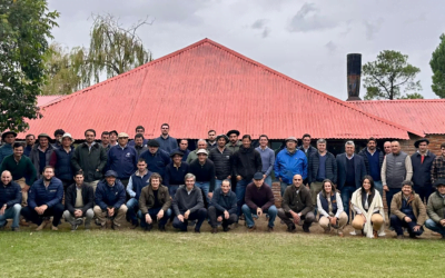 Lote 21 colocó el 95% de la oferta, hoy continúa rematando desde la Sociedad Agropecuaria de Rocha.