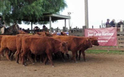 Se ajustaron los valores en Cuchilla de Silvera.