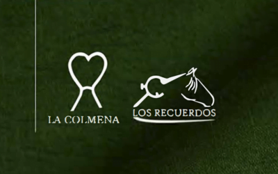 Hoy 20 hs REMATE Virtual “Líneas de trabajo”                                                             30 Yeguas Criollas PI / 100% Domadas