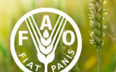 “Las cooperativas son motores para acelerar el cumplimiento de los Objetivos de Desarrollo Sostenible”