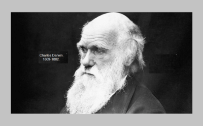 ¿Por un mundo sin ciencia?