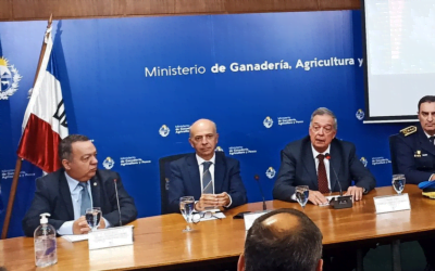 Incendios forestales y de campos (juntos) superaron los registros de años anteriores.