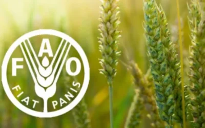 FAO en Uruguay conmemorará el 80º aniversario de la Organización y el Día Mundial de la Alimentación.
