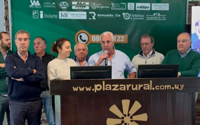 Plaza Rural vendió el 92% de la oferta, hoy salen los ovinos y las hembras vacunas.