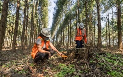 Montes del Plata impulsa el segundo encuentro sobre el mundo fungi en Guichón.