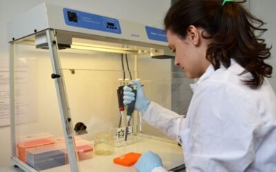 Paraguay podría exportar semillas a Uruguay.