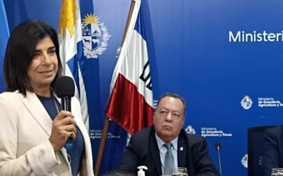 Este año hubo menos área de incendios forestales (2.400 hectáreas).