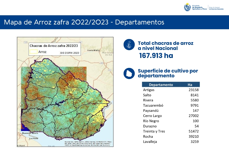 Dgrn Publicó El Mapa Del Arroz 20222023 Todo El Campo 6755
