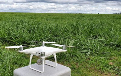 Los drones aseguran un 66% de precisión en el monitoreo de pastos