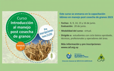 El domingo 21 cierran preinscripciones para el curso sobre manejo de postcosecha de granos