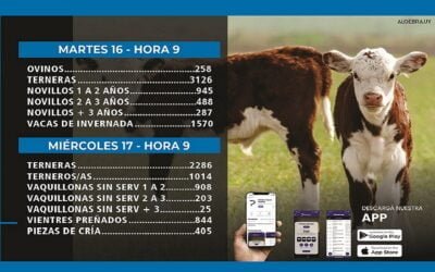 Hoy comienza el remate de Pantalla Uruguay.