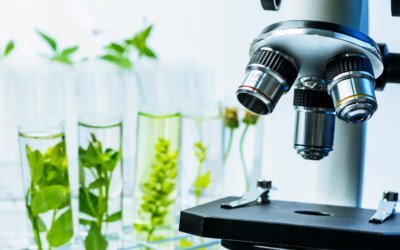 La biotecnología es un instrumento adecuado para enfrentar sequías.