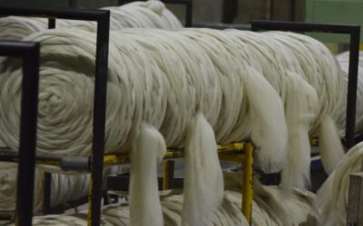 Mercado local de lanas.