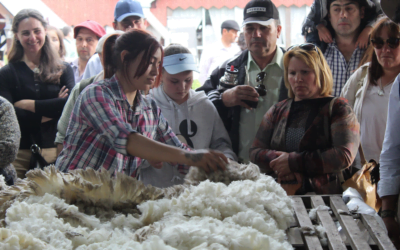El mercado local movió lotes Ideal.