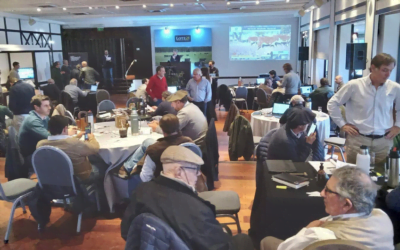 Hoy y mañana Lote 21 rematará 10.300 vacunos y 1.400 ovinos.