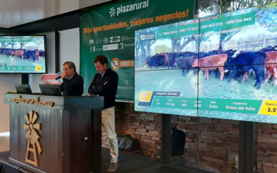 Desde las 09.00 de hoy, Plaza Rural continúa el remate 290.