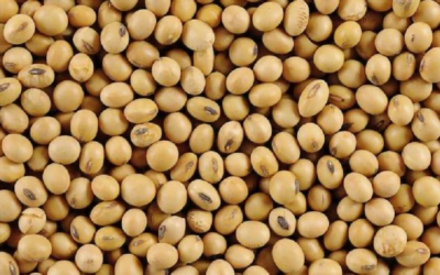 Análisis de Dufoulr: El complejo panorama agrícola.