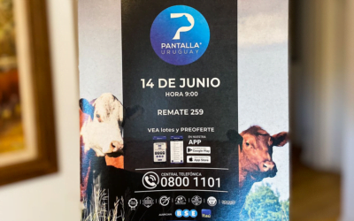 En Pantalla Uruguay, las categorías que más subieron fueron las de animales jóvenes.
