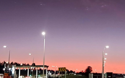 Observatorio Granjero: Situación y perspectiva de la comercialización mayorista de frutas y hortalizas.